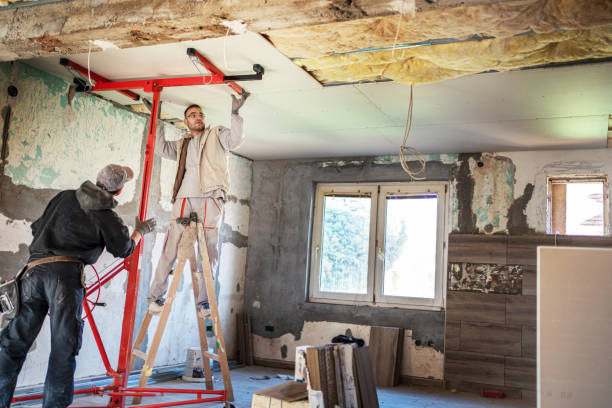 Best Residential Insulation in Spicer, MN