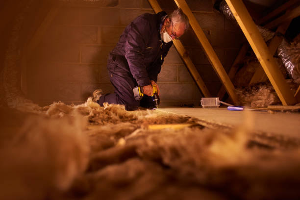 Best Types of Insulation in Spicer, MN